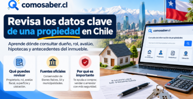 consultar los datos de una propiedad