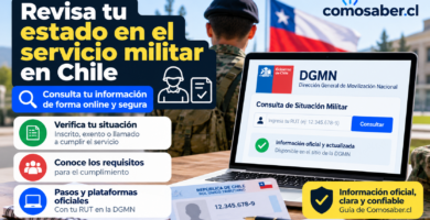 Consulta de situación militar en Chile mediante RUT en la Dirección General de Movilización Nacional (DGMN