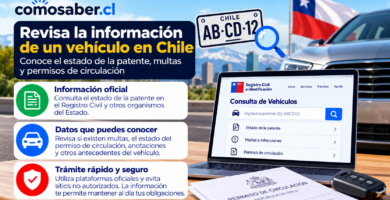 consultar una patente de vehículo