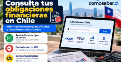 saber si una persona tiene deudas con su RUT